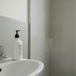 公寓 Stylish Persian Blue With Private Bath And Wifi 的里雅斯特